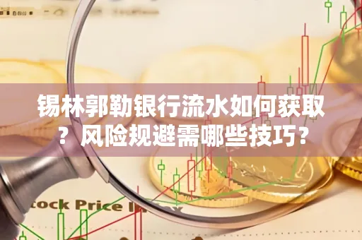 锡林郭勒银行流水如何获取?风险规避需哪些技巧?
