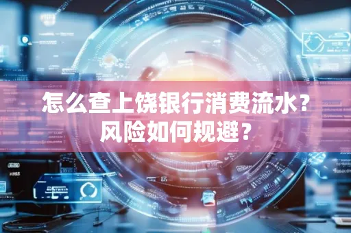怎么查上饶银行消费流水?风险如何规避?