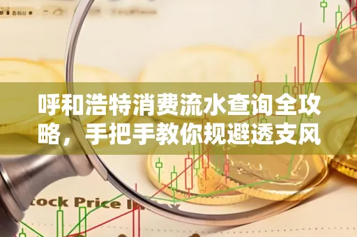 呼和浩特消费流水查询全攻略,手把手教你规避透支风险
