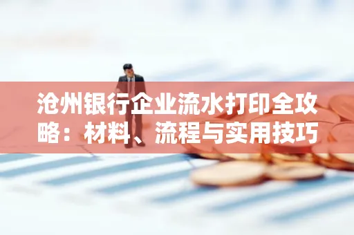 沧州银行企业流水打印全攻略:材料、流程与实用技巧