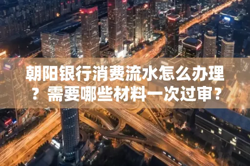 朝阳银行消费流水怎么办理?需要哪些材料一次过审?