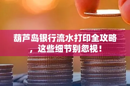 葫芦岛银行流水打印全攻略,这些细节别忽视!