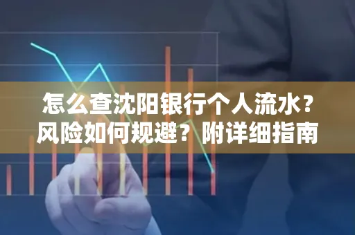 怎么查沈阳银行个人流水?风险如何规避?附详细指南