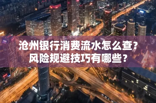 沧州银行消费流水怎么查？风险规避技巧有哪些？