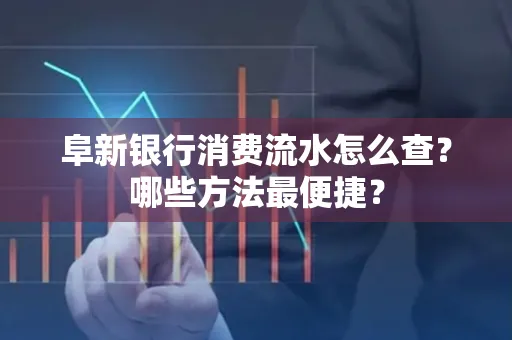 阜新银行消费流水怎么查？哪些方法最便捷？