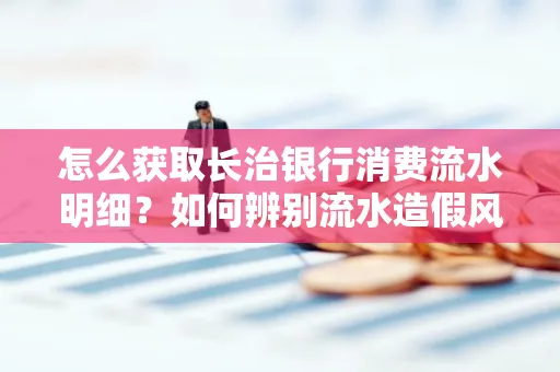 怎么获取长治银行消费流水明细?如何辨别流水造假风险?