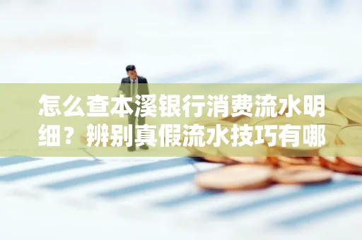 怎么查本溪银行消费流水明细?辨别真假流水技巧有哪些?