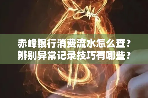 赤峰银行消费流水怎么查?辨别异常记录技巧有哪些?