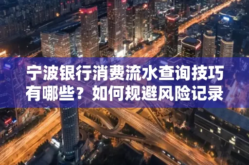 宁波银行消费流水查询技巧有哪些?如何规避风险记录?