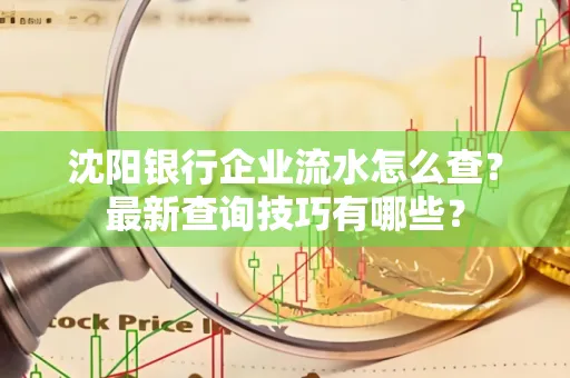 沈阳银行企业流水怎么查?最新查询技巧有哪些?