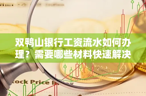 双鸭山银行工资流水如何办理?需要哪些材料快速解决