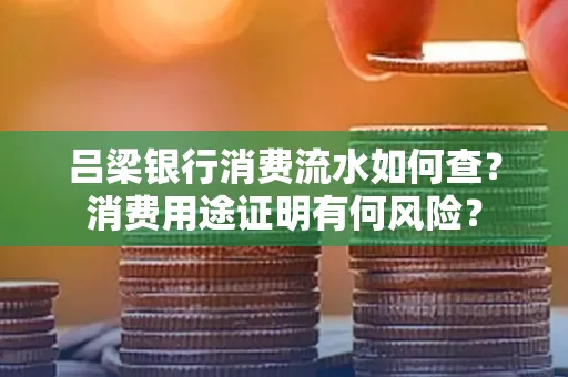 吕梁银行消费流水如何查?消费用途证明有何风险?