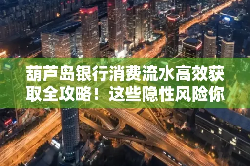 葫芦岛银行消费流水高效获取全攻略!这些隐性风险你必须知道
