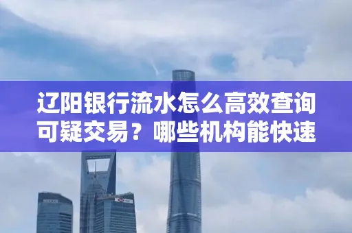 辽阳银行流水怎么高效查询可疑交易?哪些机构能快速分析账单风险?