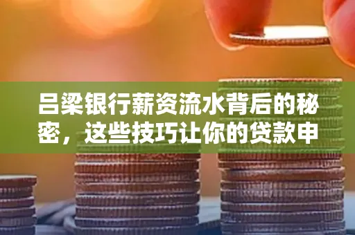 吕梁银行薪资流水背后的秘密,这些技巧让你的贷款申请快人一步