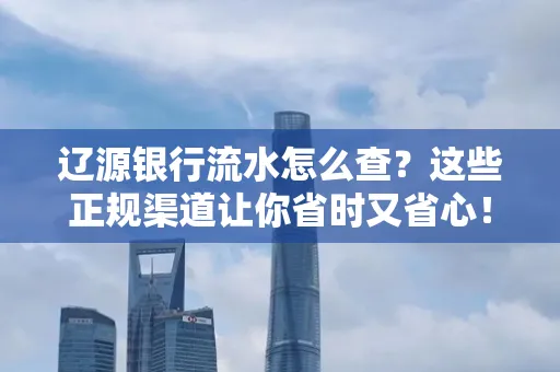 辽源银行流水怎么查?这些正规渠道让你省时又省心!