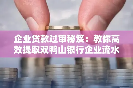 企业贷款过审秘笈:教你高效提取双鸭山银行企业流水