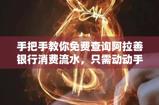 手把手教你免费查询阿拉善银行消费流水,只需动动手指就能完成