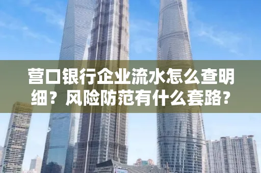 营口银行企业流水怎么查明细?风险防范有什么套路?