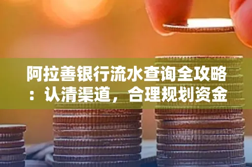 阿拉善银行流水查询全攻略:认清渠道,合理规划资金流动技巧