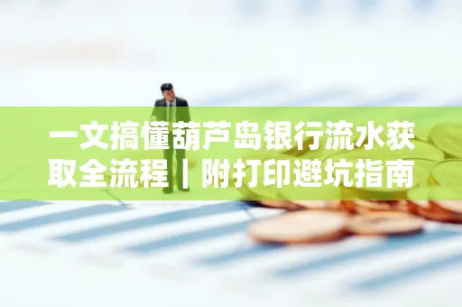 一文搞懂葫芦岛银行流水获取全流程|附打印避坑指南