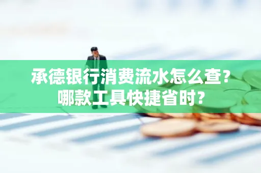 承德银行消费流水怎么查？哪款工具快捷省时？