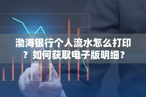 渤海银行个人流水怎么打印?如何获取电子版明细?