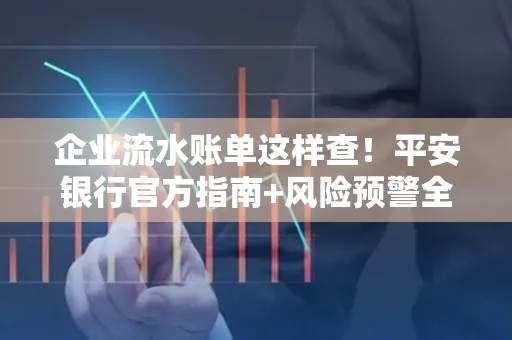 企业流水账单这样查!平安银行官方指南+风险预警全收录