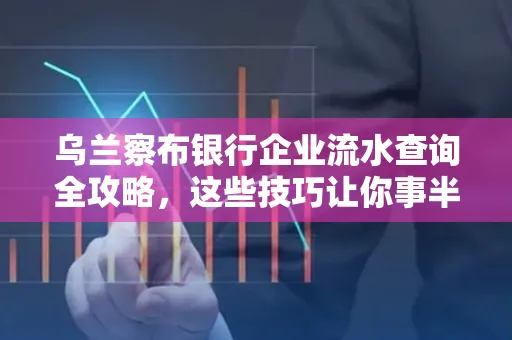 乌兰察布银行企业流水查询全攻略,这些技巧让你事半功倍