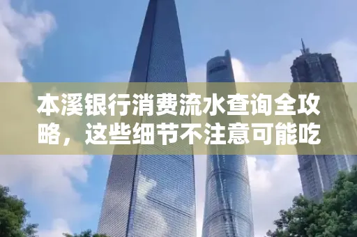 本溪银行消费流水查询全攻略,这些细节不注意可能吃大亏