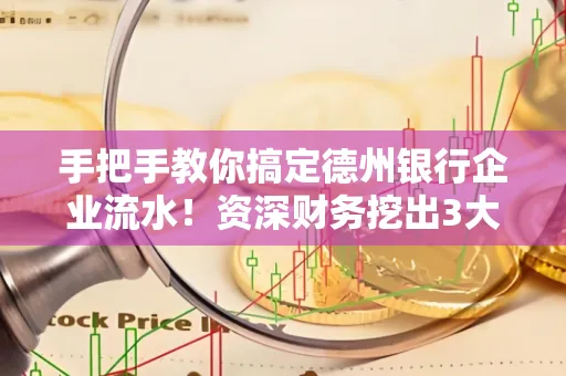 手把手教你搞定德州银行企业流水!资深财务挖出3大隐藏风险点
