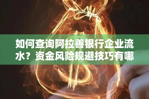 如何查询阿拉善银行企业流水?资金风险规避技巧有哪些?