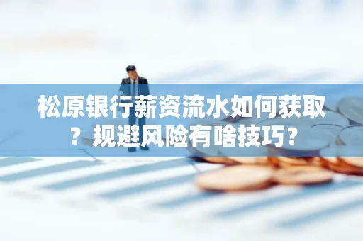 松原银行薪资流水如何获取?规避风险有啥技巧?