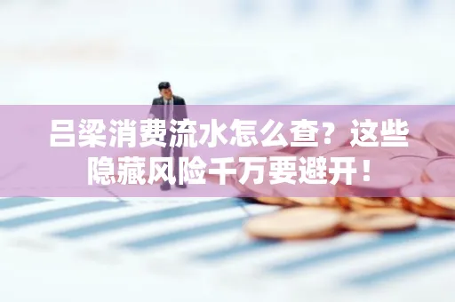 吕梁消费流水怎么查?这些隐藏风险千万要避开!