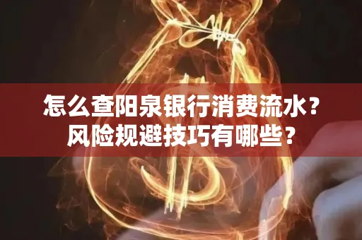 怎么查阳泉银行消费流水?风险规避技巧有哪些?