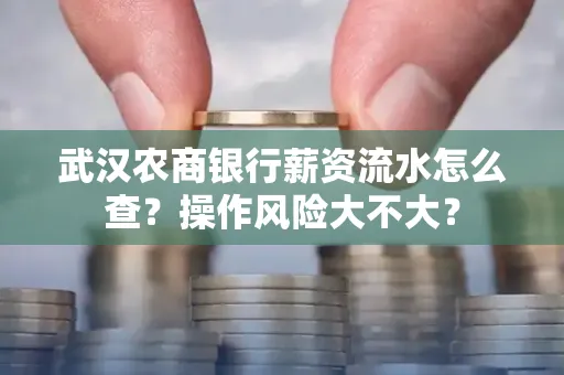 武汉农商银行薪资流水怎么查?操作风险大不大?