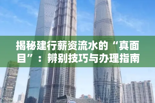 揭秘建行薪资流水的“真面目”:辨别技巧与办理指南大公开