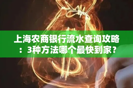 上海农商银行流水查询攻略:3种方法哪个最快到家?