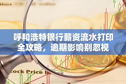 呼和浩特银行薪资流水打印全攻略,逾期影响别忽视