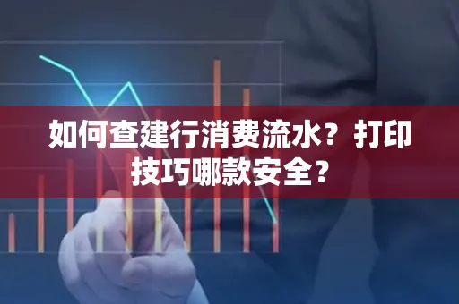 如何查建行消费流水?打印技巧哪款安全?